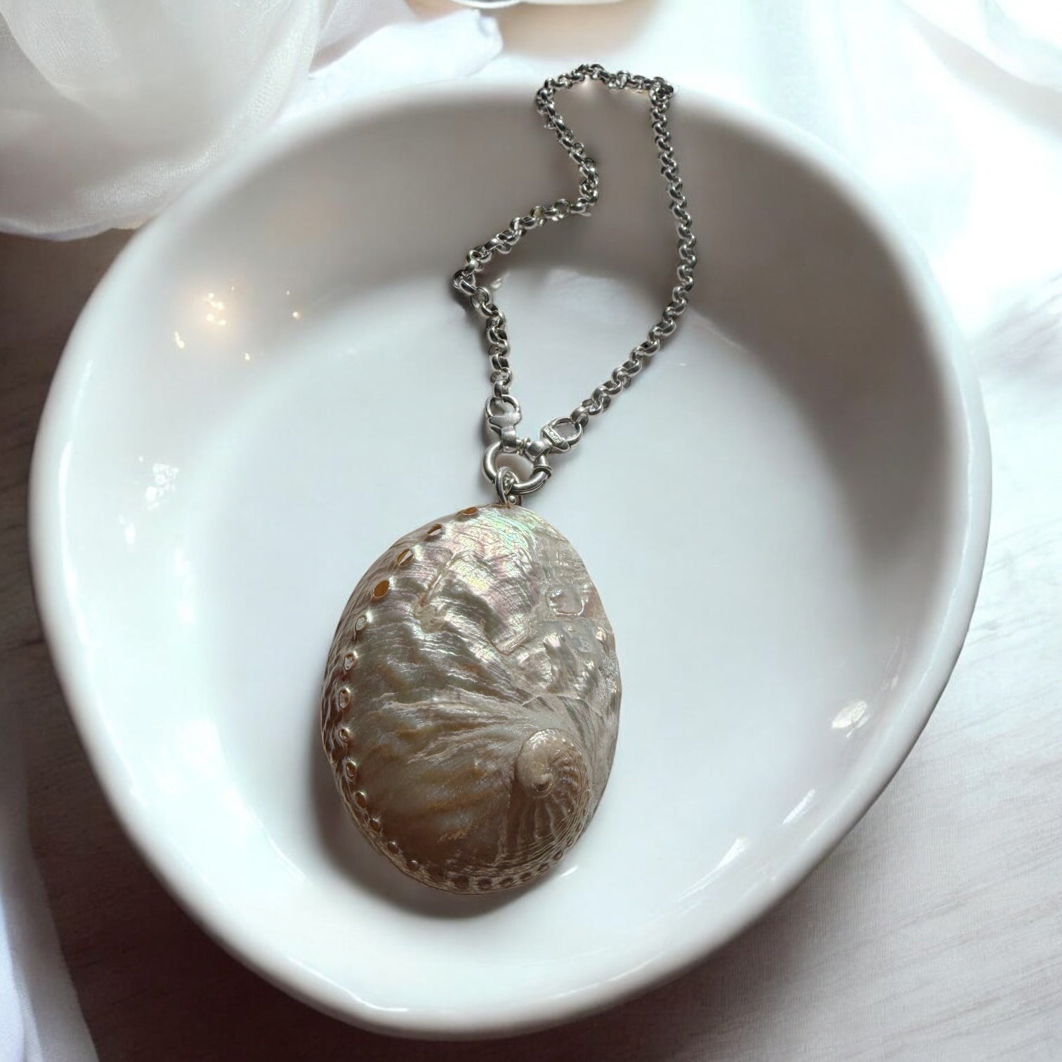 Colgante Abalone Nácar Iridiscente