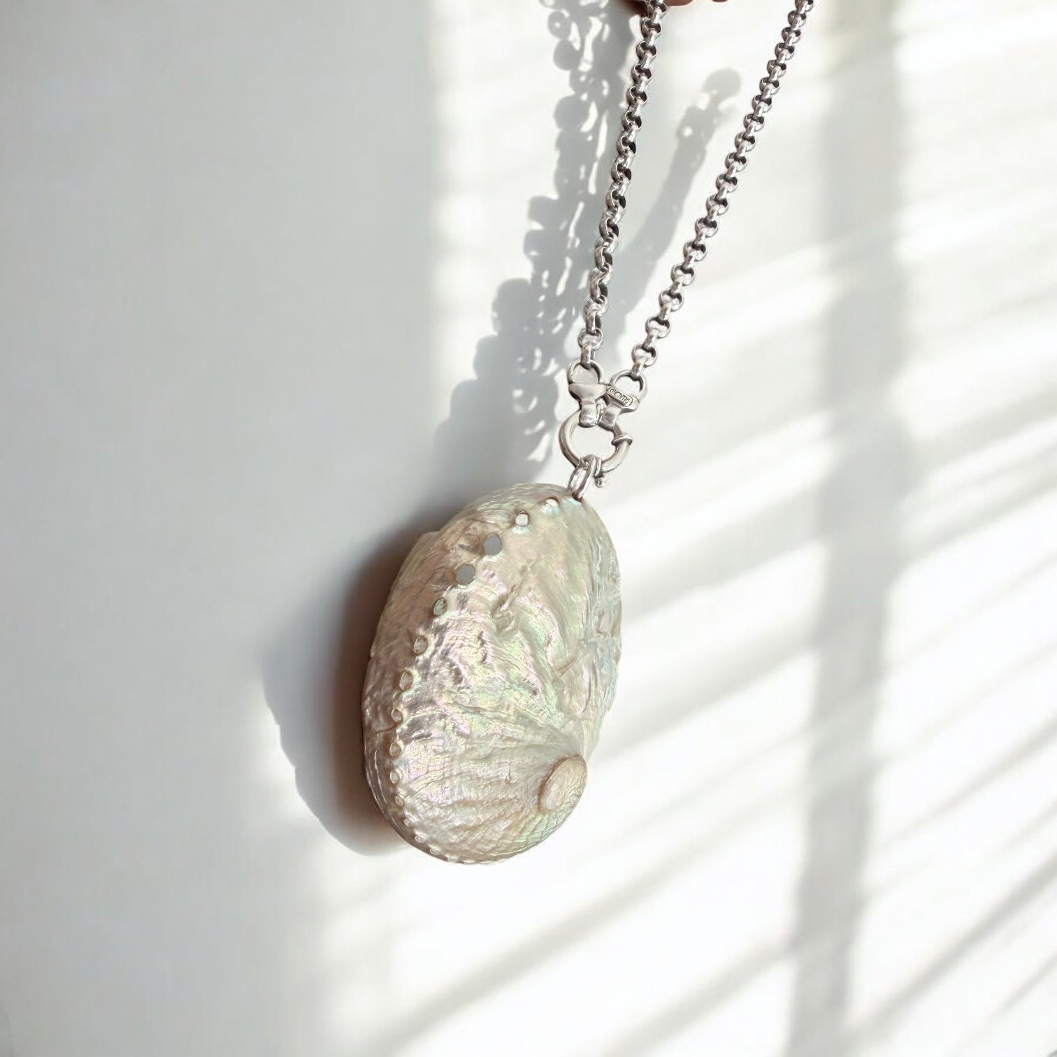 Colgante Abalone Nácar Iridiscente