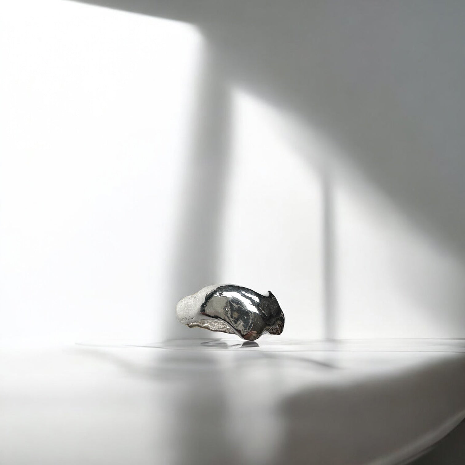 Anillo Errante Vol.III - talla 13