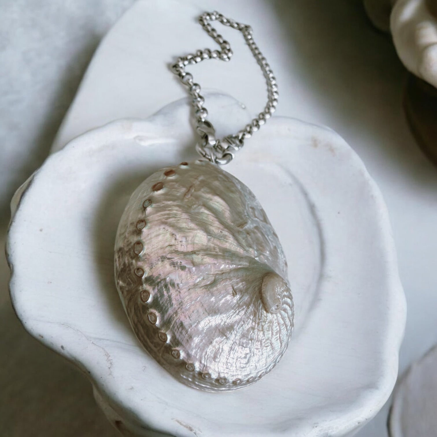 Colgante Abalone Nácar Iridiscente