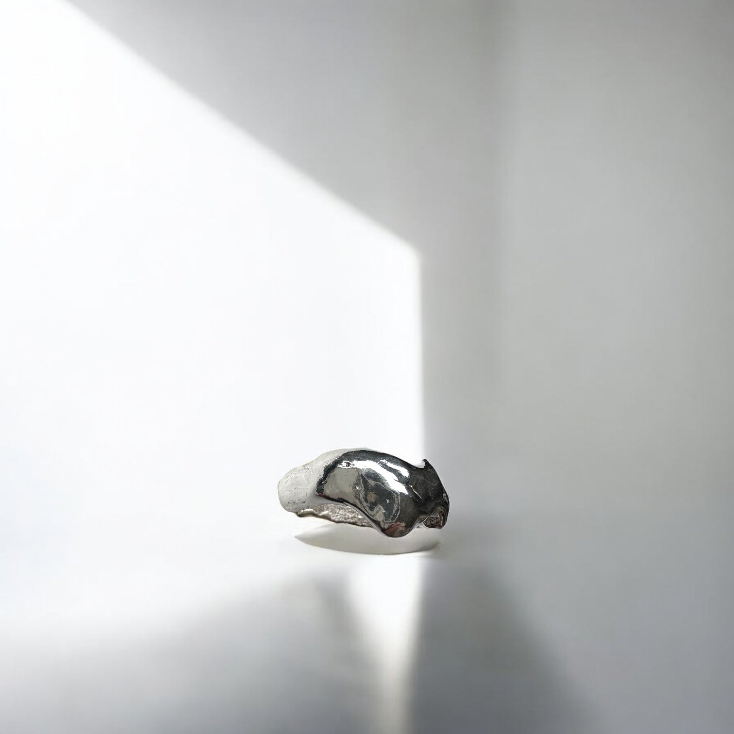 Anillo Errante Vol.III - talla 13