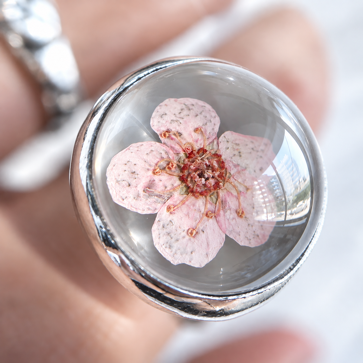 Anillo Florcita Encapsulada / Cherry Blossom