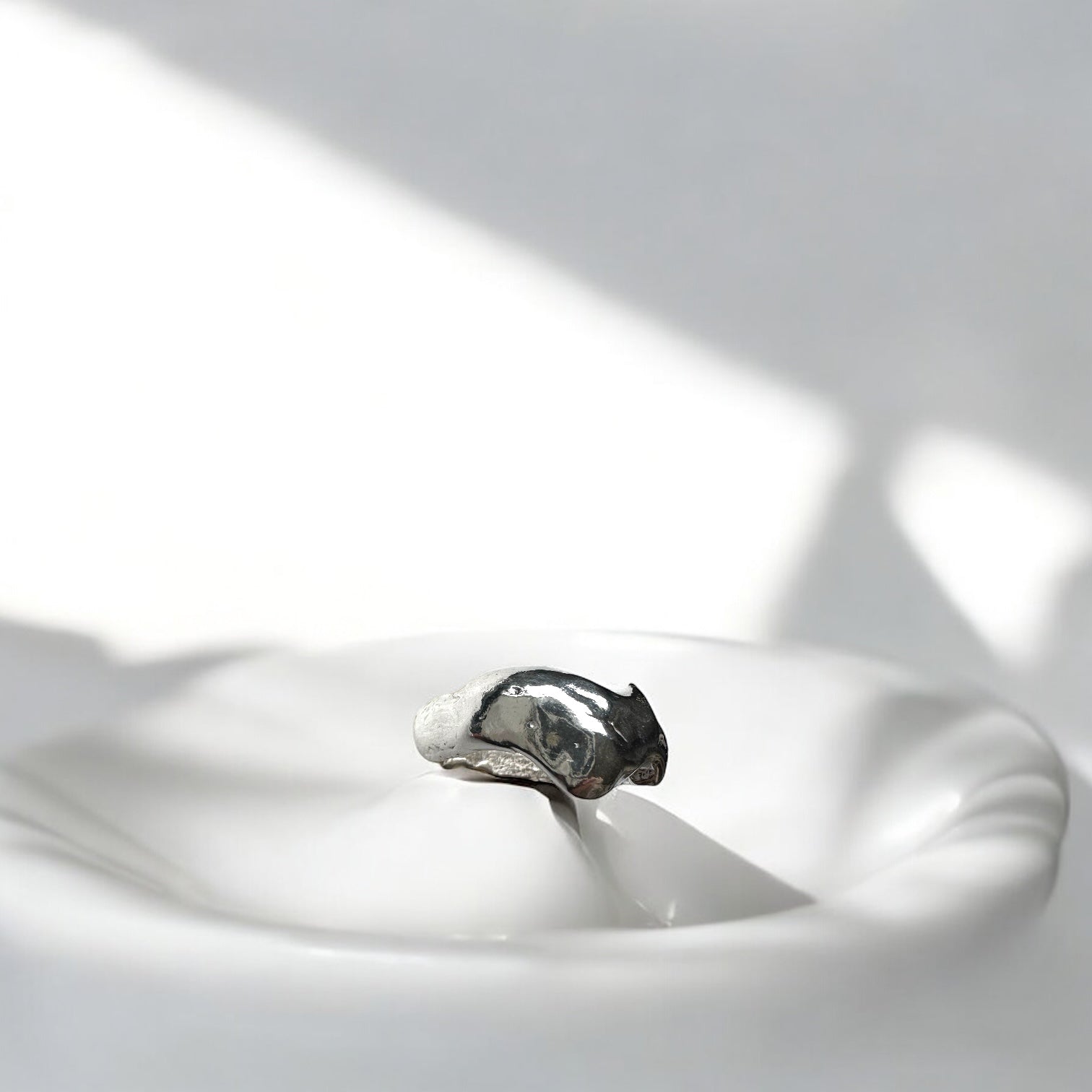 Anillo Errante Vol.III - talla 13