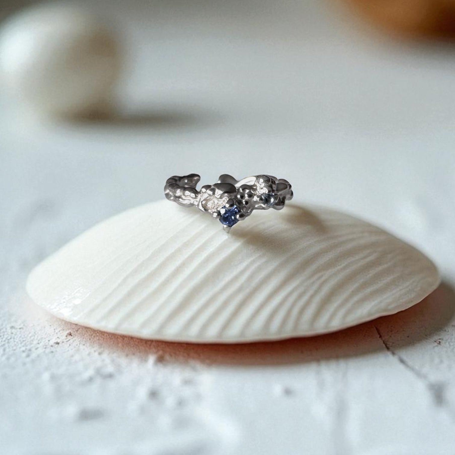 Anillo Fragmenta