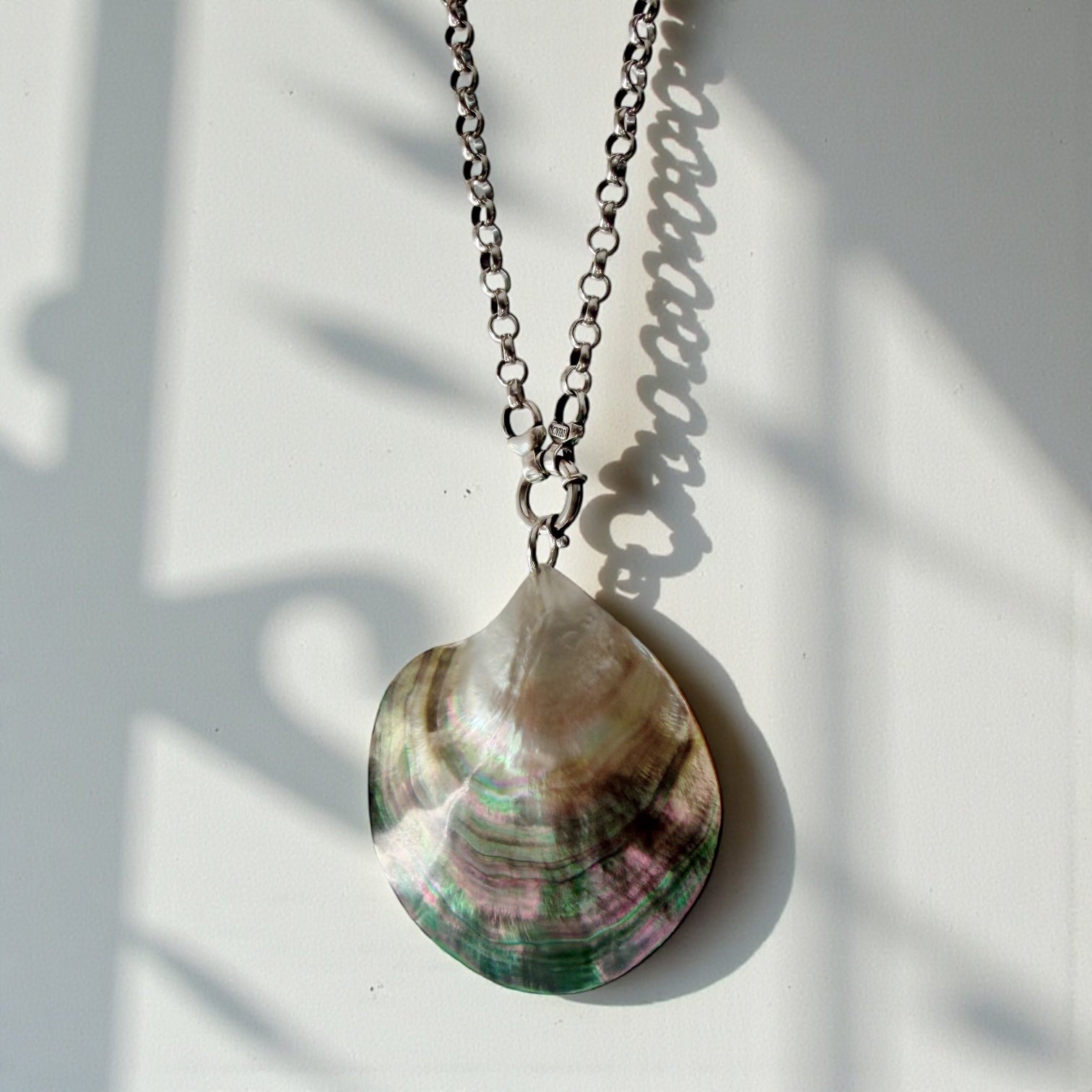 Colgante Abalone orgánico natural