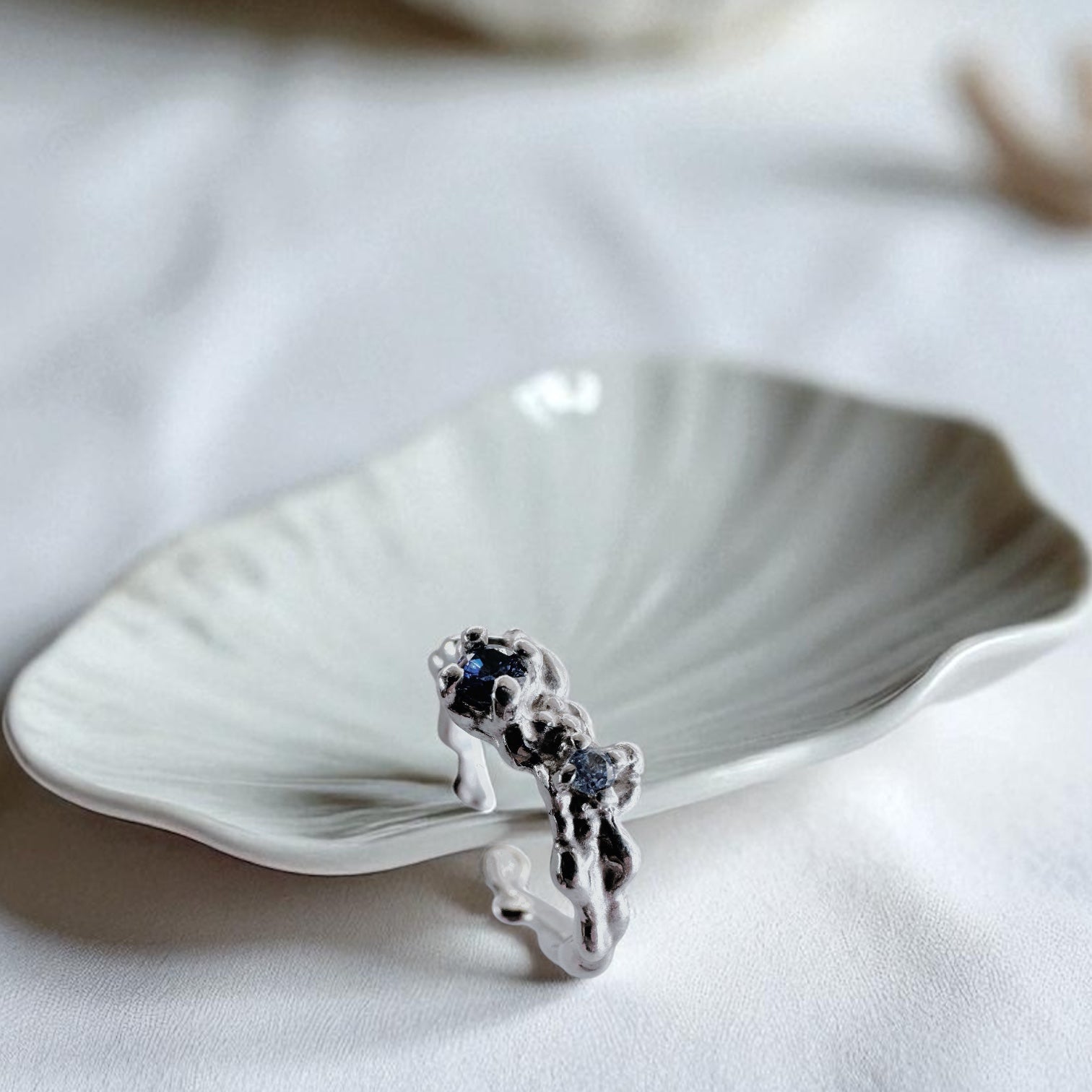 Anillo Fragmenta
