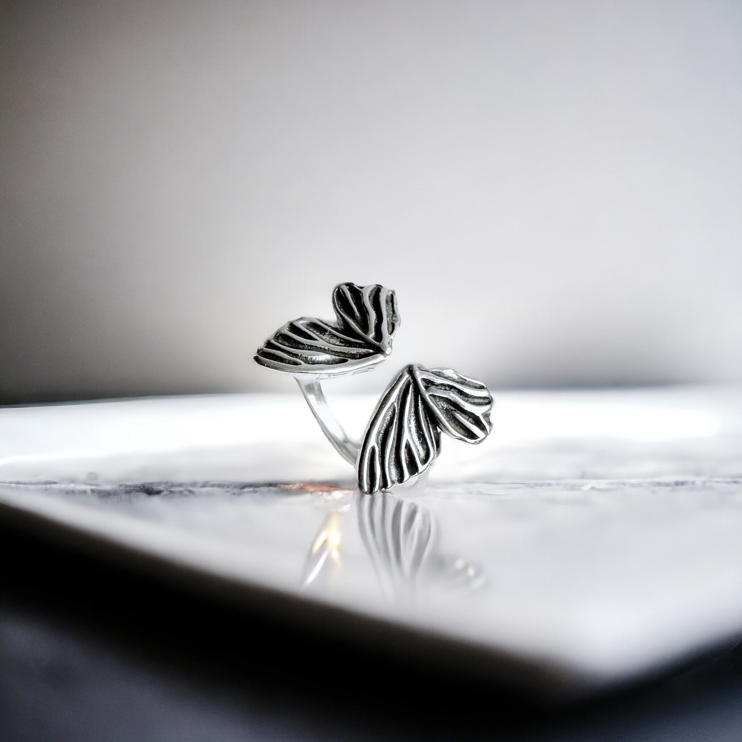 Anillo Alas