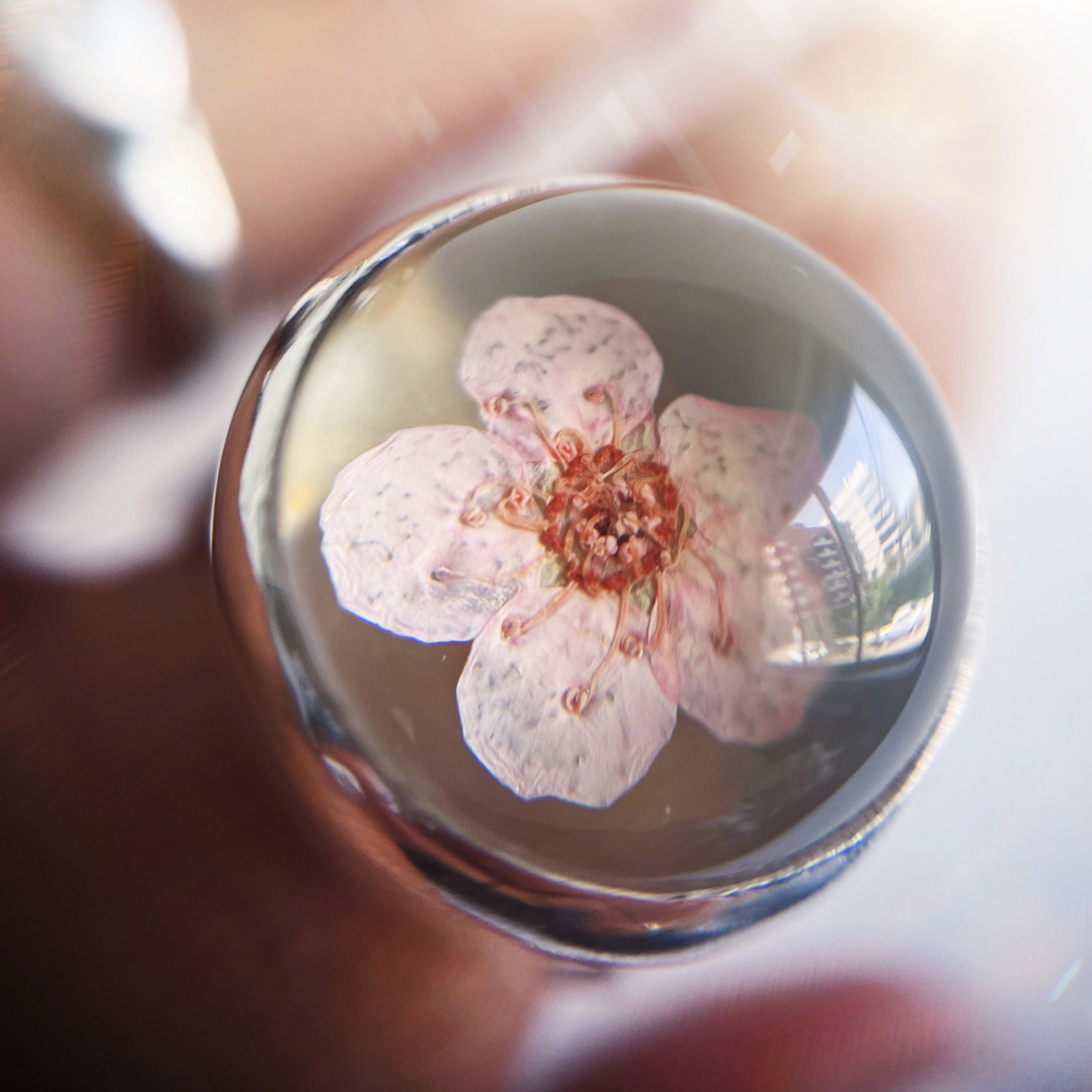 Anillo Florcita Encapsulada / Cherry Blossom
