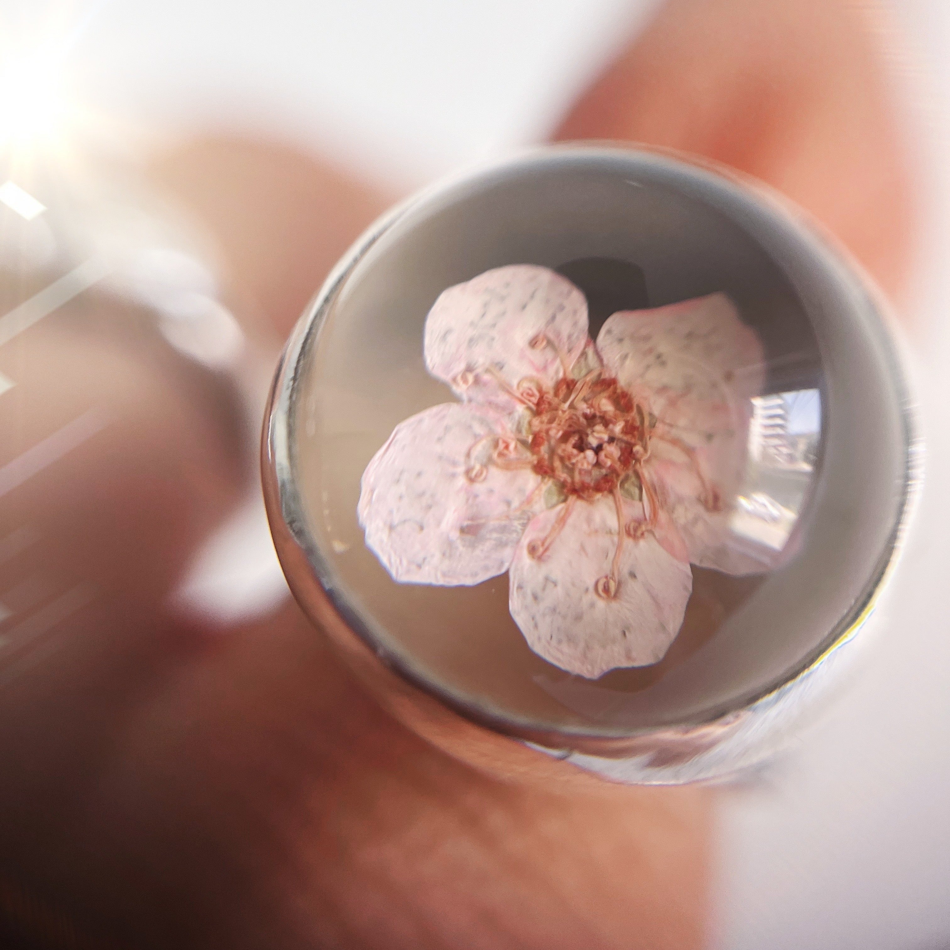 Anillo Florcita Encapsulada / Cherry Blossom